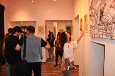 Выставка литовской художницы Эдиты Сухоцките в Баку: пазл из тысячи мелких деталей (ФОТО)