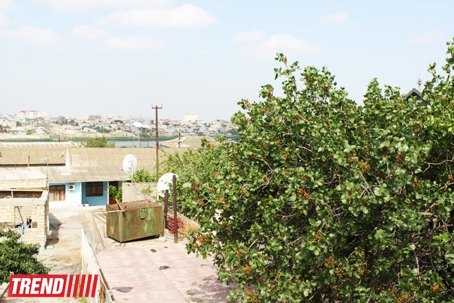 В Амирджаны состоялось открытие реконструированного Дома-музея Саттара Бахлулзаде (ФОТО)