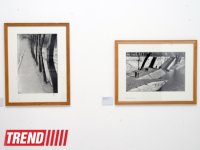 Лейла Алиева ознакомилась с выставкой выдающегося фотографа XX века Анри Картье-Брессона  в Центре Гейдара Алиева (ФОТО)