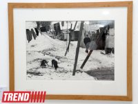 Лейла Алиева ознакомилась с выставкой выдающегося фотографа XX века Анри Картье-Брессона  в Центре Гейдара Алиева (ФОТО)