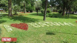 Прославленные курорты Грузии: Цхалтубо и Батуми (ФОТО)