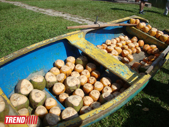 Увлекательное путешествие в страну с новым обликом (ФОТО)