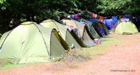 Скауты со всего мира провели в Лерике "Wonderland 2014 Azərbaycan" (фото)