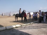 В Азербайджане проводятся экскурсионные туры "Узнай свою страну" (ФОТО)