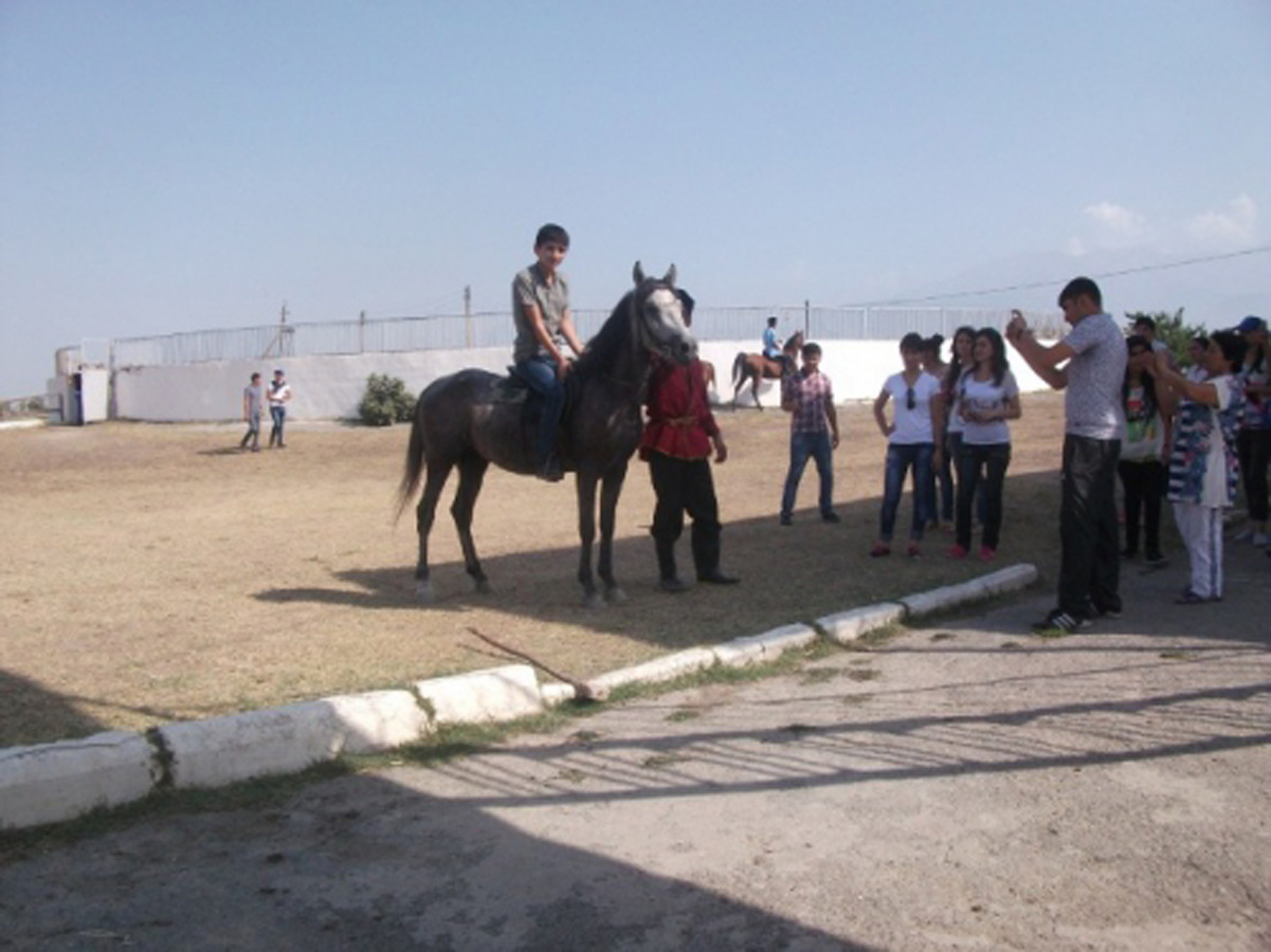 В Азербайджане проводятся экскурсионные туры "Узнай свою страну" (ФОТО)