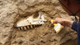 Интересный сюжет и смех до упаду: в Баку пройдет гала-вечер комедии "Yumurta" (ФОТО)