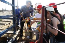 В Баку появятся креативные нефтяные качалки (ФОТО)