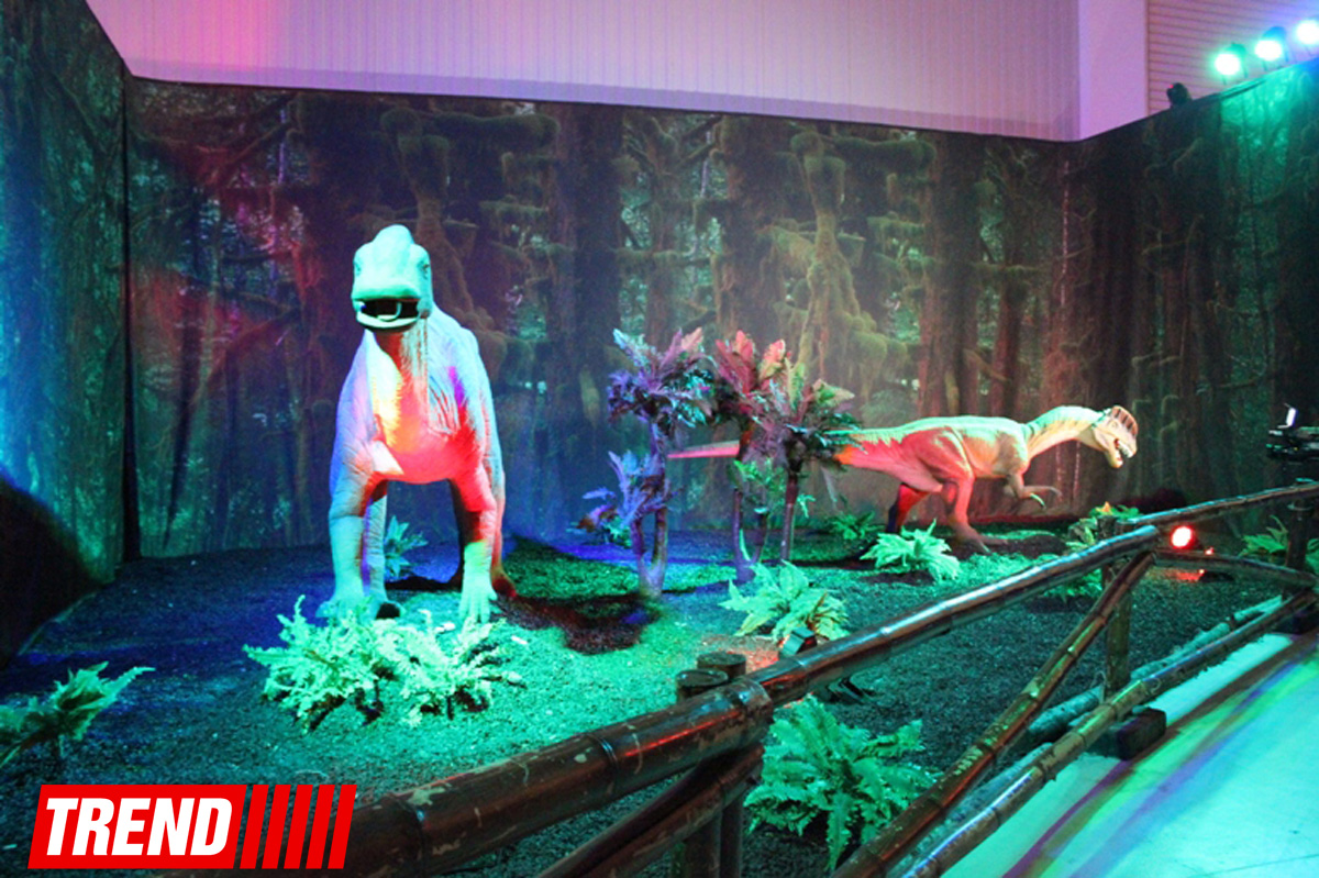 В Баку открылось грандиозное "Шоу динозавров" – звезды, радость детей и родителей (ФОТО)