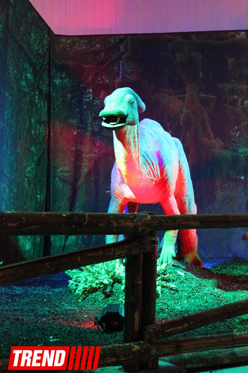В Баку открылось грандиозное "Шоу динозавров" – звезды, радость детей и родителей (ФОТО)