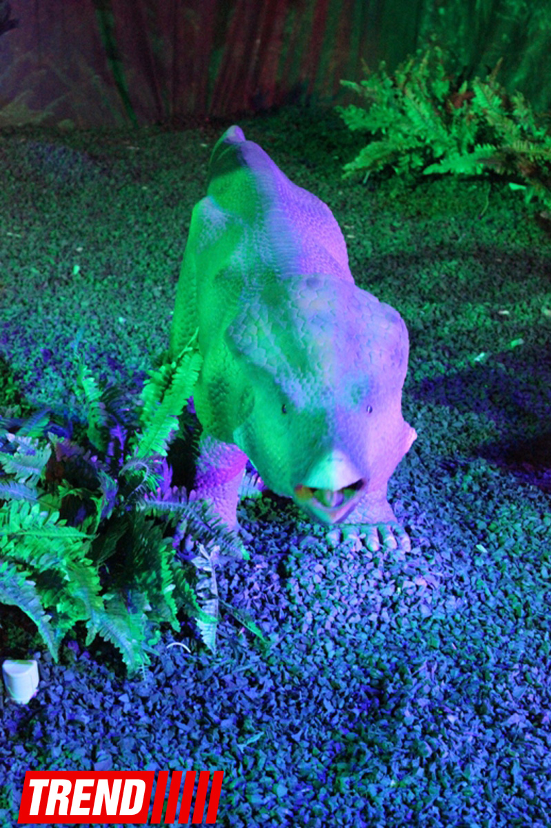 В Баку открылось грандиозное "Шоу динозавров" – звезды, радость детей и родителей (ФОТО)