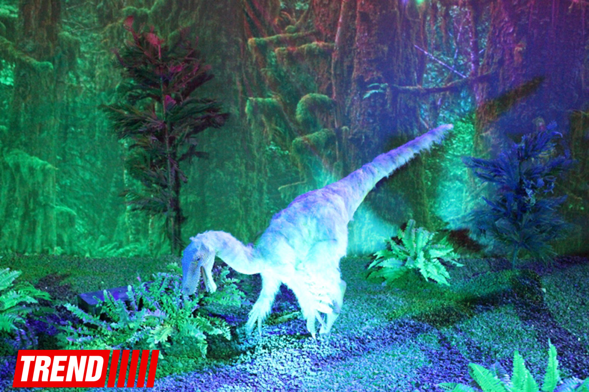 В Баку открылось грандиозное "Шоу динозавров" – звезды, радость детей и родителей (ФОТО)