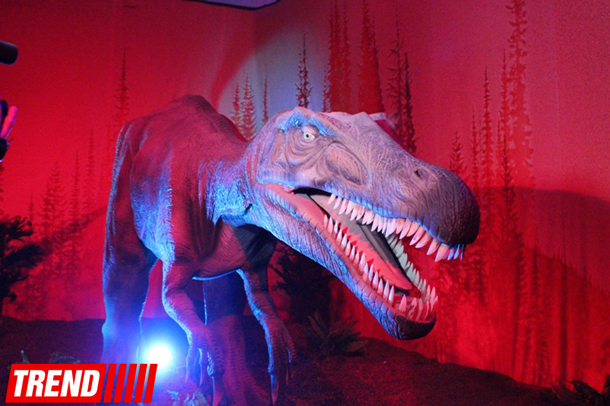 В Баку открылось грандиозное "Шоу динозавров" – звезды, радость детей и родителей (ФОТО)