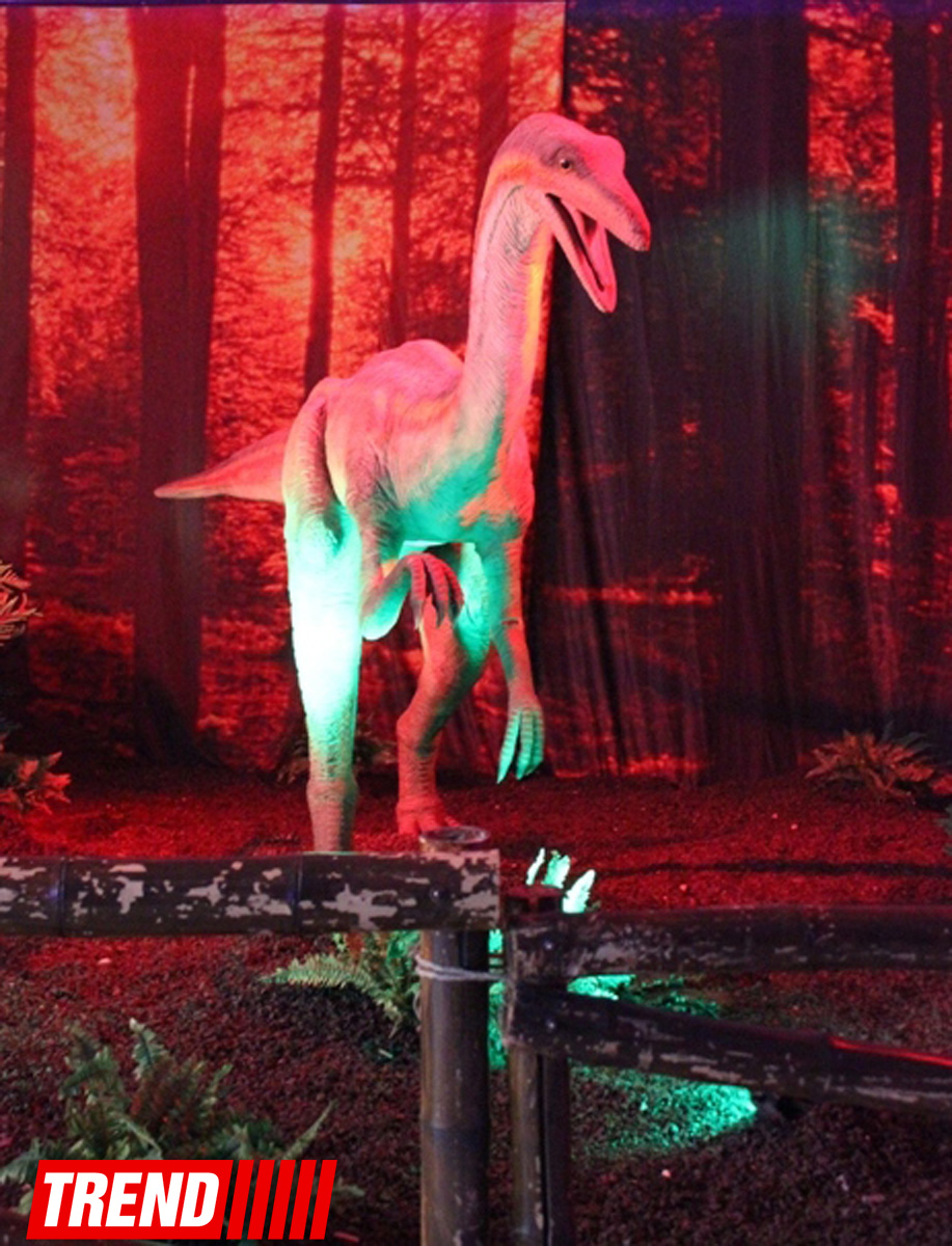 В Баку открылось грандиозное "Шоу динозавров" – звезды, радость детей и родителей (ФОТО)