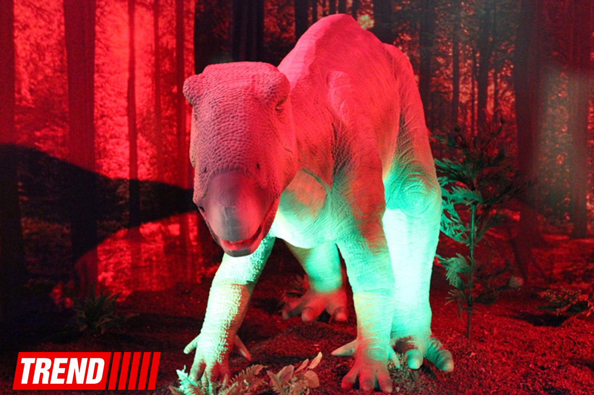 В Баку открылось грандиозное "Шоу динозавров" – звезды, радость детей и родителей (ФОТО)