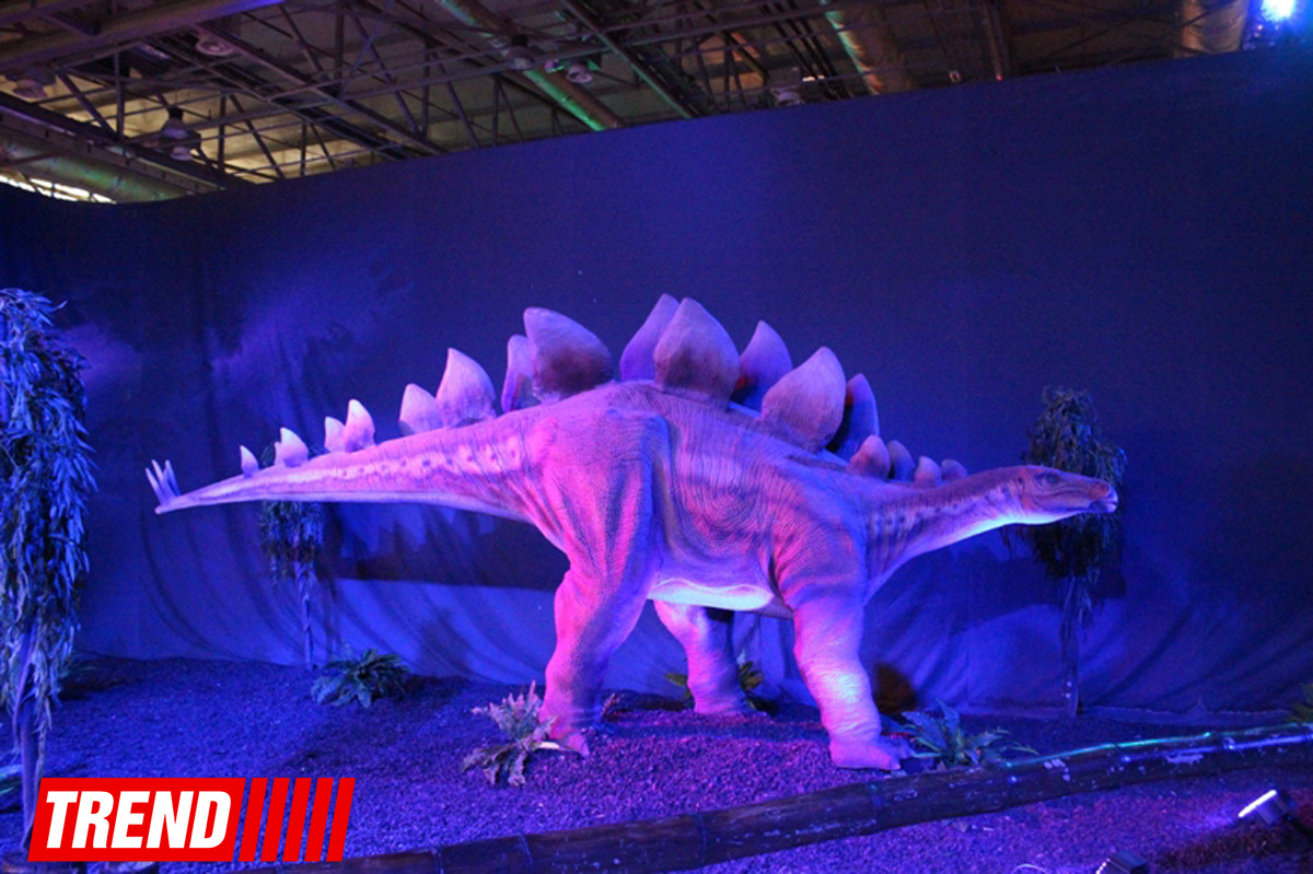 В Баку открылось грандиозное "Шоу динозавров" – звезды, радость детей и родителей (ФОТО)