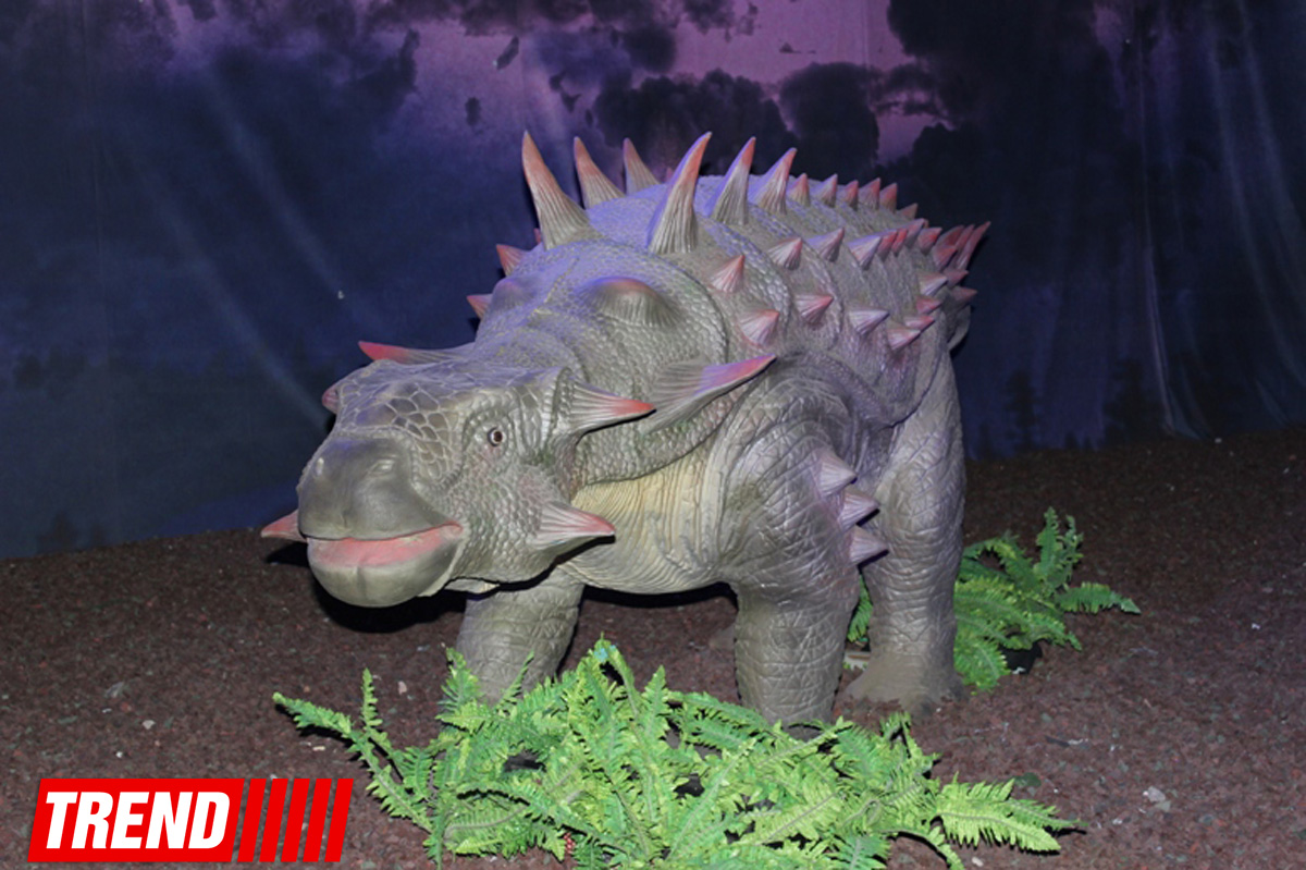 В Баку открылось грандиозное "Шоу динозавров" – звезды, радость детей и родителей (ФОТО)