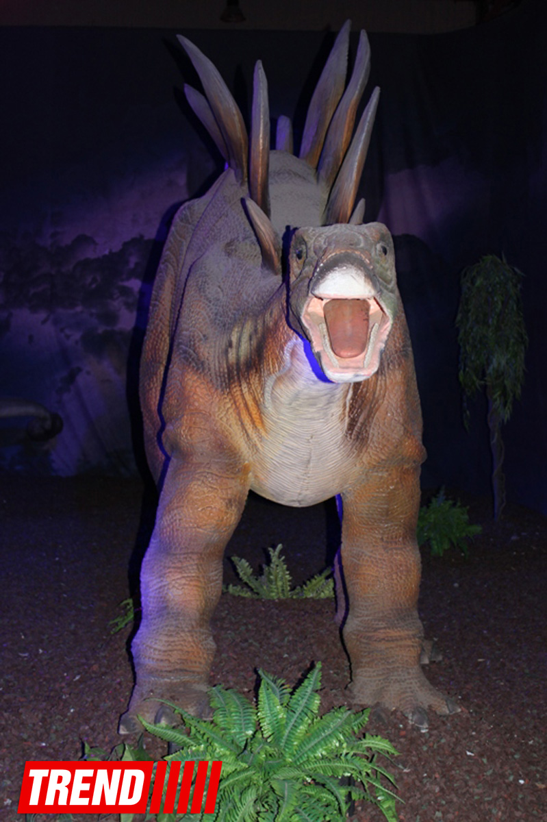 В Баку открылось грандиозное "Шоу динозавров" – звезды, радость детей и родителей (ФОТО)