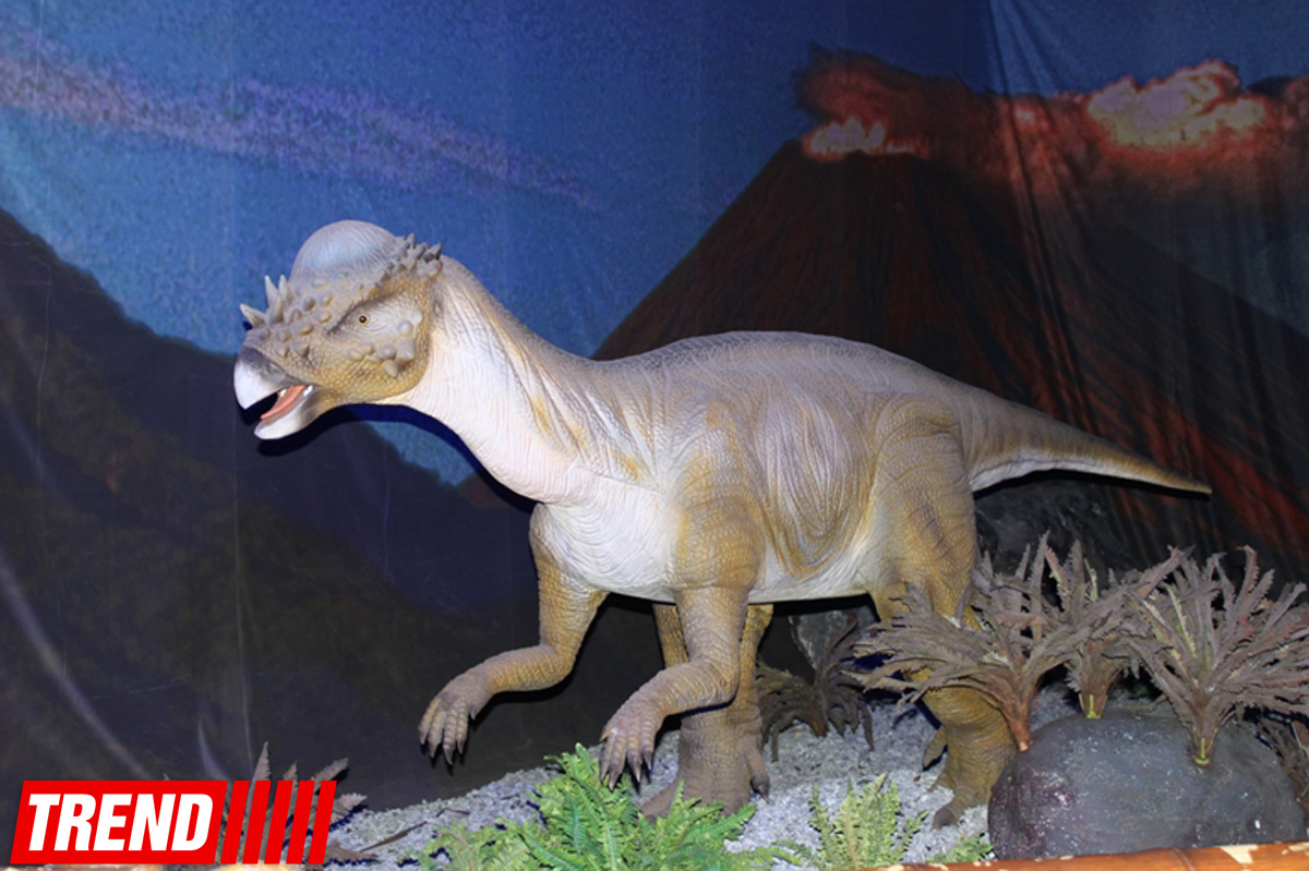 В Баку открылось грандиозное "Шоу динозавров" – звезды, радость детей и родителей (ФОТО)