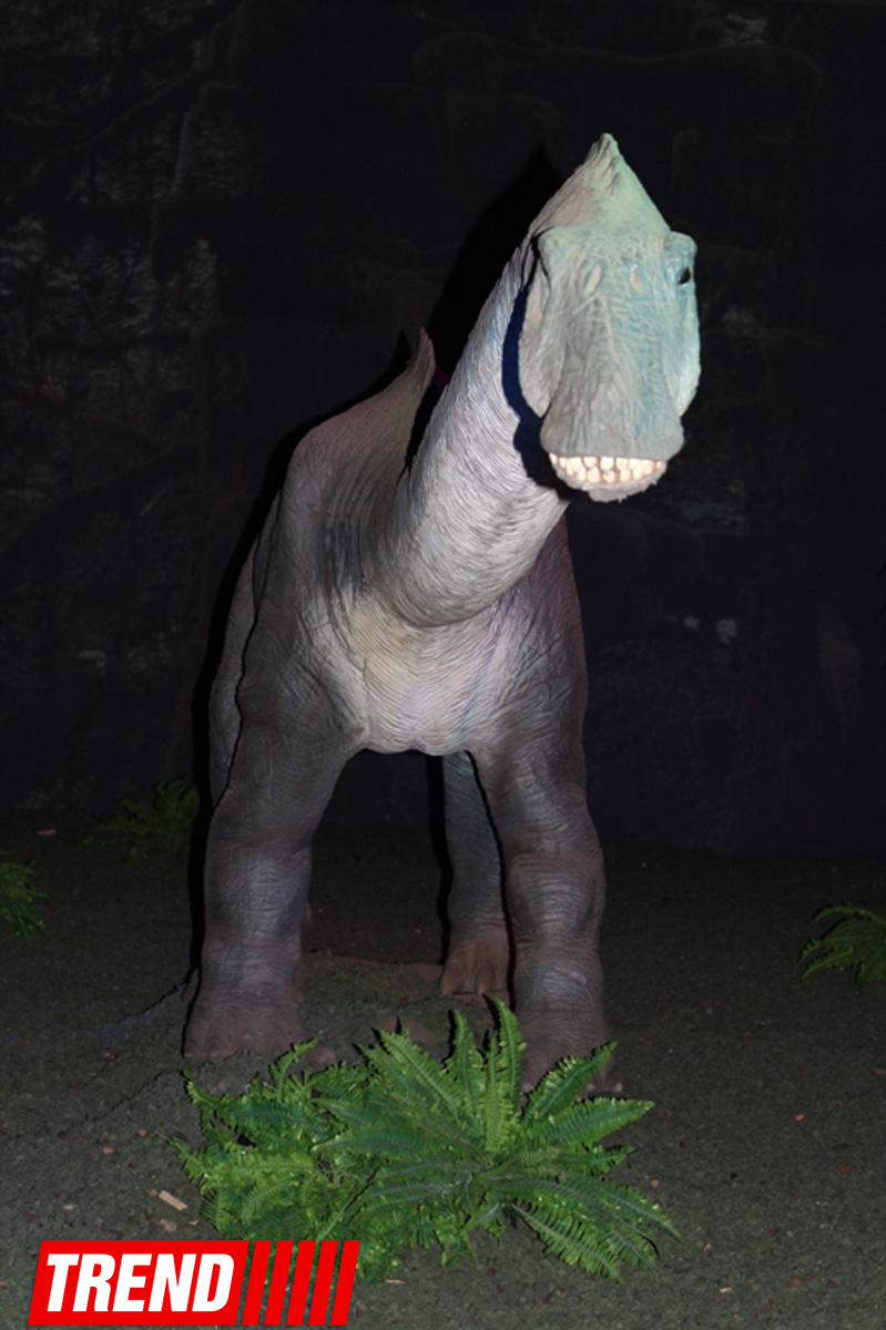 В Баку открылось грандиозное "Шоу динозавров" – звезды, радость детей и родителей (ФОТО)