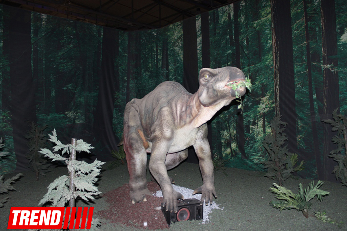 В Баку открылось грандиозное "Шоу динозавров" – звезды, радость детей и родителей (ФОТО)