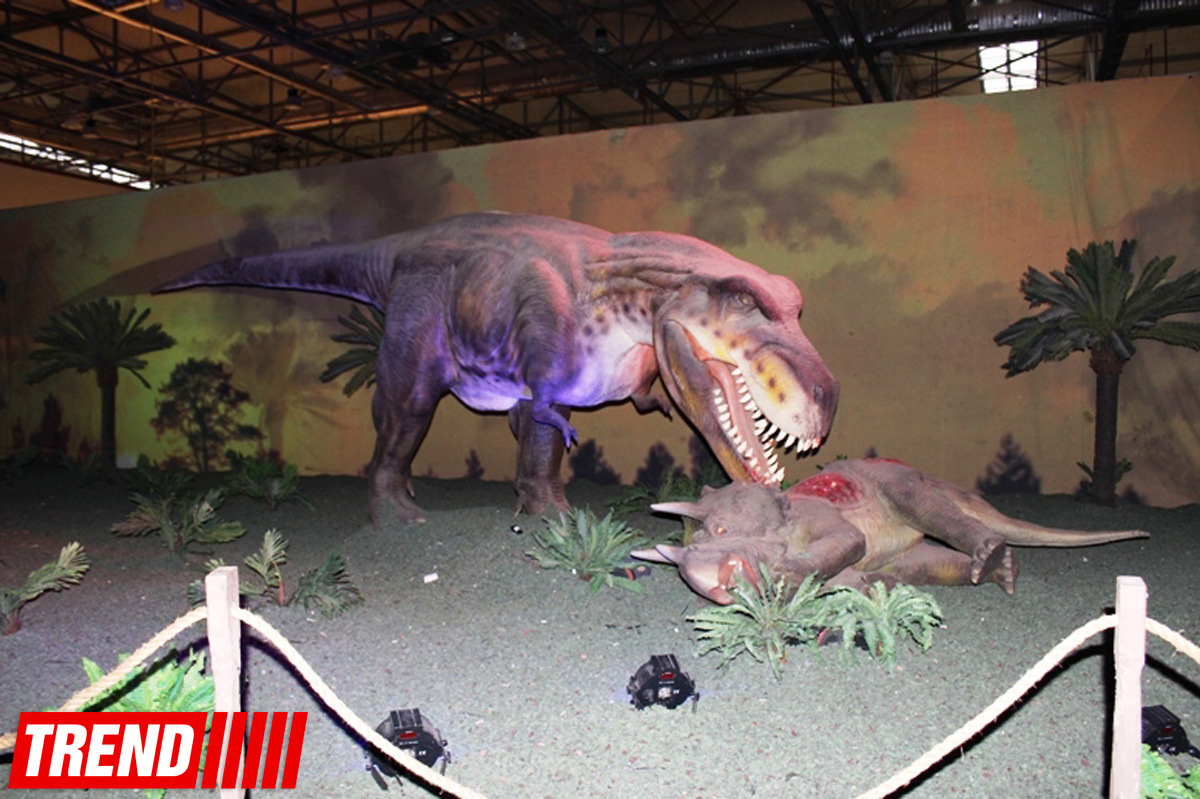 В Баку открылось грандиозное "Шоу динозавров" – звезды, радость детей и родителей (ФОТО)