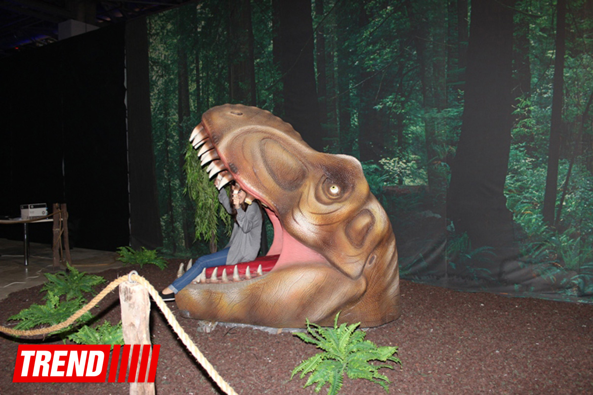 В Баку открылось грандиозное "Шоу динозавров" – звезды, радость детей и родителей (ФОТО)