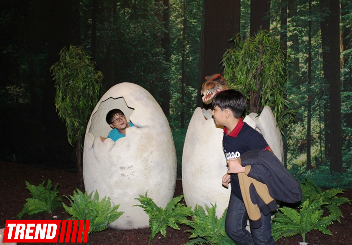 В Баку открылось грандиозное "Шоу динозавров" – звезды, радость детей и родителей (ФОТО)