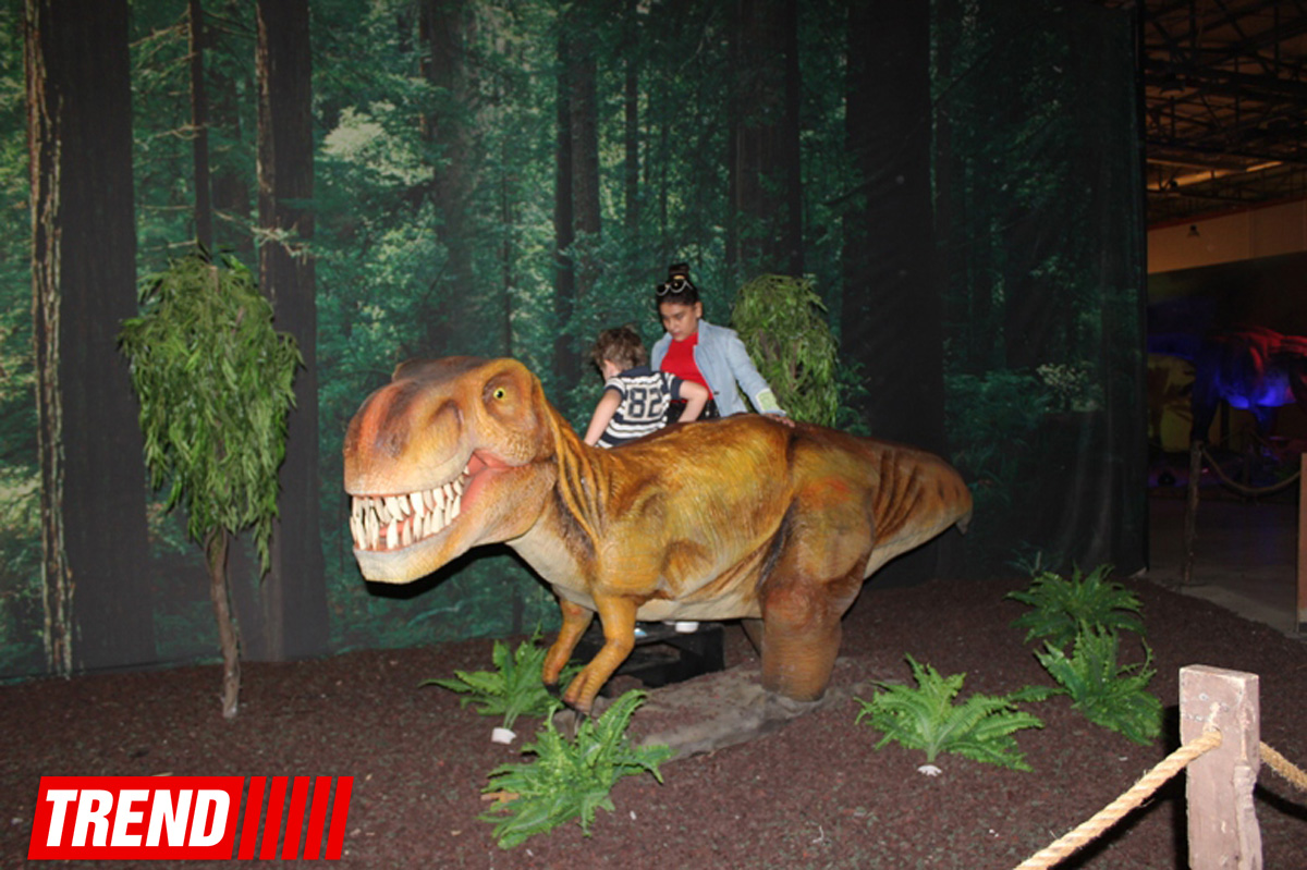 В Баку открылось грандиозное "Шоу динозавров" – звезды, радость детей и родителей (ФОТО)