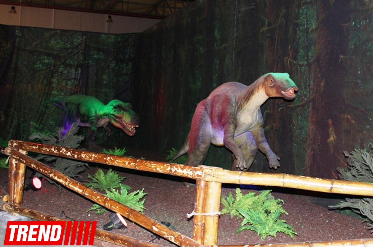 В Баку открылось грандиозное "Шоу динозавров" – звезды, радость детей и родителей (ФОТО)