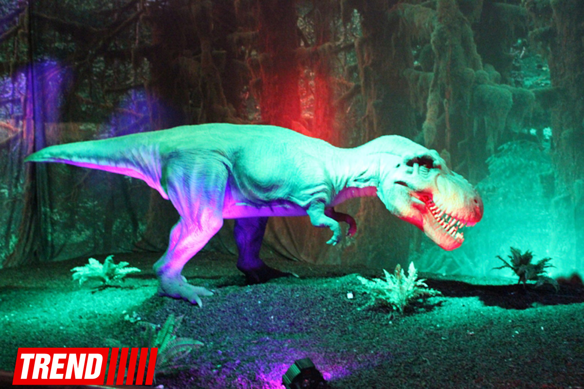 В Баку открылось грандиозное "Шоу динозавров" – звезды, радость детей и родителей (ФОТО)