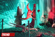 В Баку открылось грандиозное "Шоу динозавров" – звезды, радость детей и родителей (ФОТО)