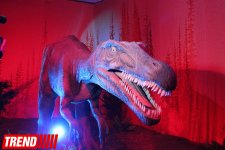 В Баку открылось грандиозное "Шоу динозавров" – звезды, радость детей и родителей (ФОТО)