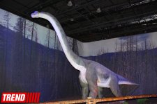 В Баку открылось грандиозное "Шоу динозавров" – звезды, радость детей и родителей (ФОТО)