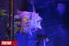 В Баку открылось грандиозное "Шоу динозавров" – звезды, радость детей и родителей (ФОТО)