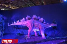 В Баку открылось грандиозное "Шоу динозавров" – звезды, радость детей и родителей (ФОТО)