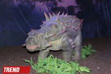 В Баку открылось грандиозное "Шоу динозавров" – звезды, радость детей и родителей (ФОТО)