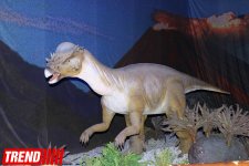 В Баку открылось грандиозное "Шоу динозавров" – звезды, радость детей и родителей (ФОТО)