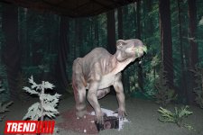 В Баку открылось грандиозное "Шоу динозавров" – звезды, радость детей и родителей (ФОТО)