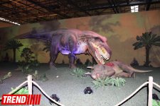 В Баку открылось грандиозное "Шоу динозавров" – звезды, радость детей и родителей (ФОТО)