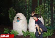 В Баку открылось грандиозное "Шоу динозавров" – звезды, радость детей и родителей (ФОТО)