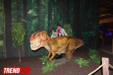 В Баку открылось грандиозное "Шоу динозавров" – звезды, радость детей и родителей (ФОТО)