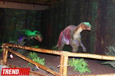 В Баку открылось грандиозное "Шоу динозавров" – звезды, радость детей и родителей (ФОТО)