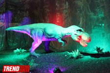 В Баку открылось грандиозное "Шоу динозавров" – звезды, радость детей и родителей (ФОТО)