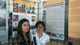 Представители Азербайджана приняли участие в конференции Европейской ассоциации археологов в Стамбуле (ФОТО)