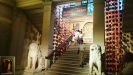 Представители Азербайджана приняли участие в конференции Европейской ассоциации археологов в Стамбуле (ФОТО)