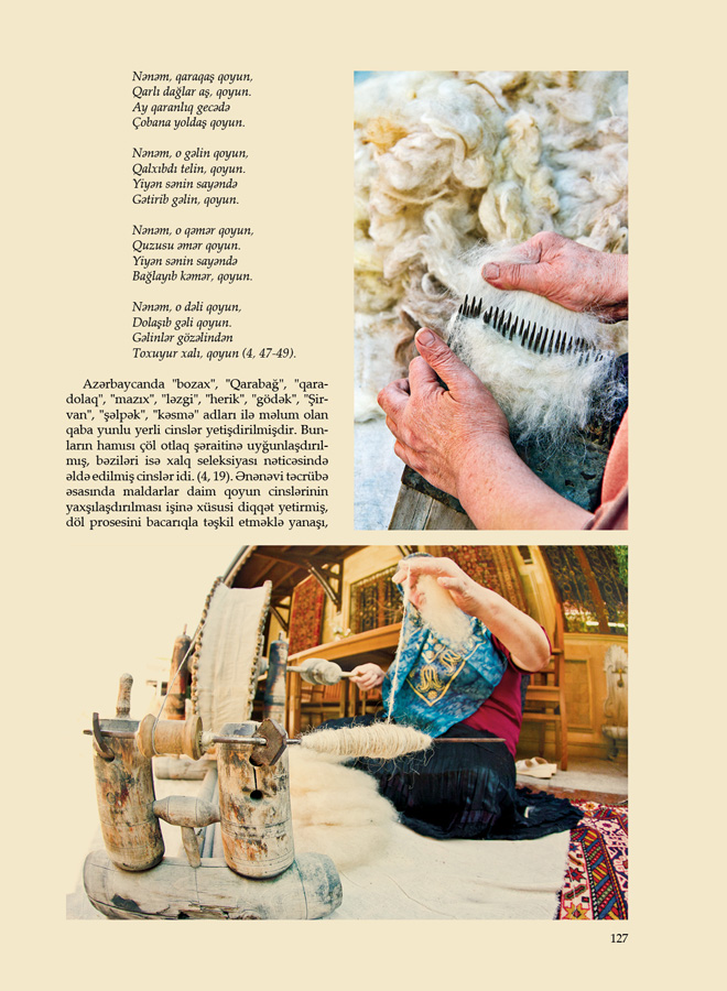 Вышел в свет очередной номер журнала "Azərbaycan xalçaları" (ФОТО)