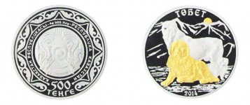 В Казахстане представлена азербайджанская порода собак "Гурдбасар" (ФОТО)