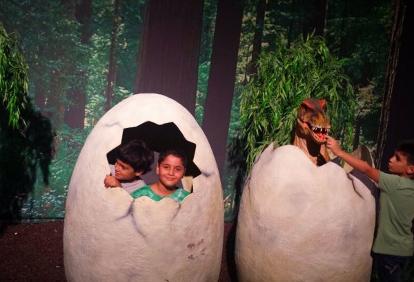 Бакинские школьники совершили доисторическое путешествие - в гостях у динозавров (ФОТО)