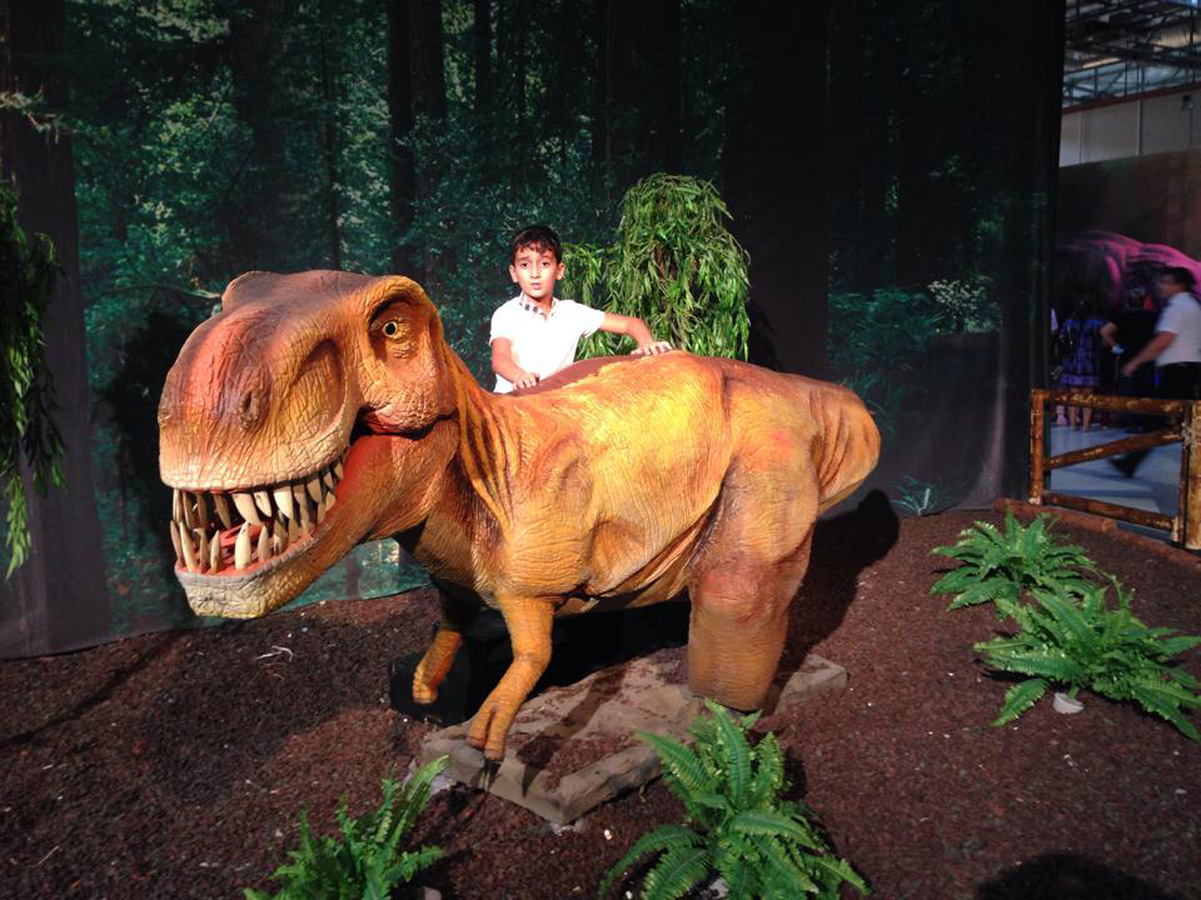 Бакинские школьники совершили доисторическое путешествие - в гостях у динозавров (ФОТО)