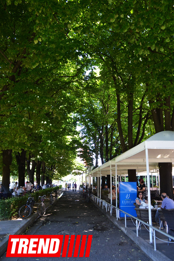 Путешествие в Албанию – город-побратим Гянджи, старейший город Европы  (ФОТО)